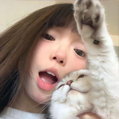 女猫